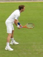 Wimbledon Tennis- Andy Murray receiving